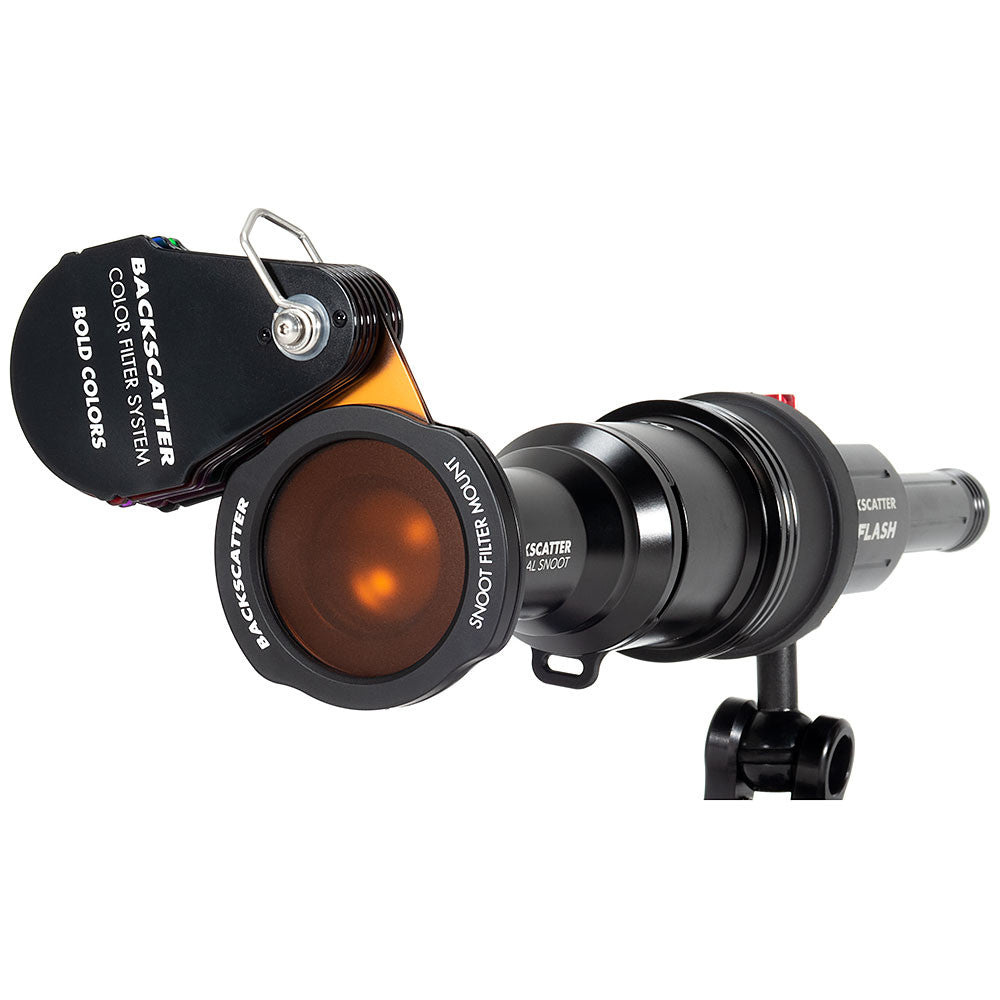 BACKSCATTER COLOR FILTER SYSTEM BOLD COLORS