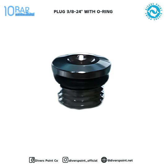 10BAR PLUG 3/8-24" WITH O-RING